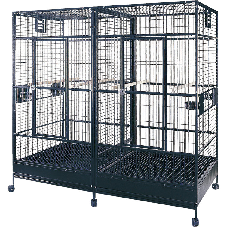 A&E Cage Co. Enormous Double Macaw Bird Cage & Reviews Wayfair.ca
